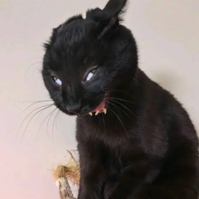 Jimmysickness's profile picture