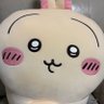 うさぎ 的头像