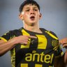 Campeón del siglo 🖤💛's profile picture