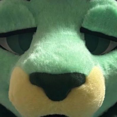 KelixLiger's profile picture