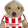 clauu's profile picture