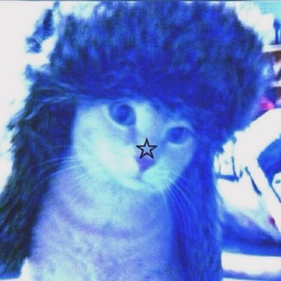 Rojito's profile picture