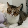 Z_y profil fotoğrafı
