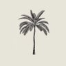 Profilbild von 🌴