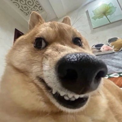 tsmg_zzz's profile picture