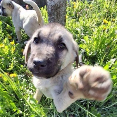 SARASA432691's profile picture