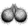 Nashville Balls 的头像