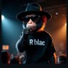 R blac 的头像