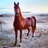 akerm profil fotoğrafı