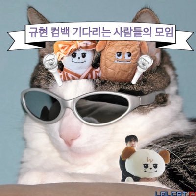 xckyucx's profile picture