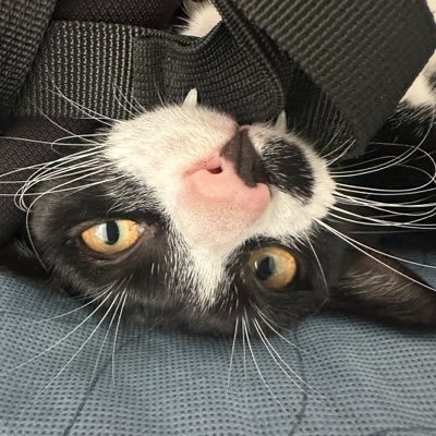 xemdu0's profile picture