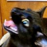 332's profile picture