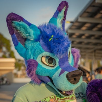 🔞Cisco Fox➡️ASC🦊's profile picture
