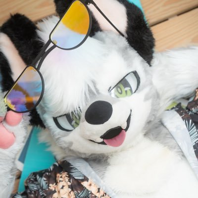 HP100LV1's profile picture