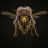 Profilbild von Albert « Ivan » Frelon