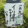 X 投稿する内容がなくて活用できてない's profile picture