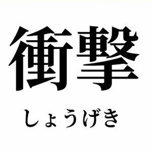 楽しいです's profile picture