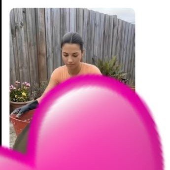 後援者's profile picture