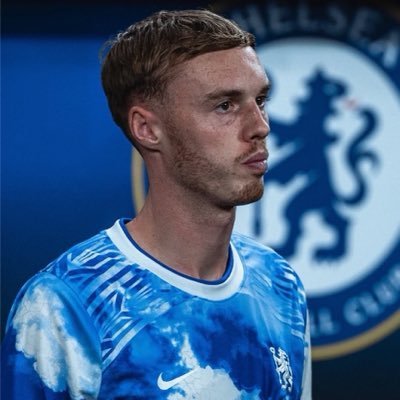 PEDRO's profile picture
