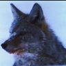 Mxp rr Rty's profile picture