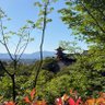 Фото профиля 东方イケメン