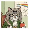 Newton Le Chat profil fotoğrafı