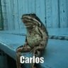 Carlos's profile picture