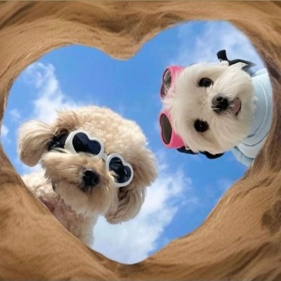 Nami90%angel🧚♀️10%devil😈's profile picture