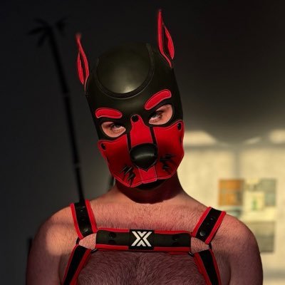 pup_latex_'s profile picture