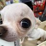 nick profil fotoğrafı