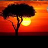 RYCONY GH profil fotoğrafı