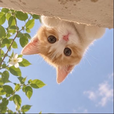 ☪︎· พินัน ʚɞ.⋆♡̶'s profile picture