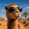 Profilbild von أبو فهد