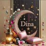dina mostafa's profile picture