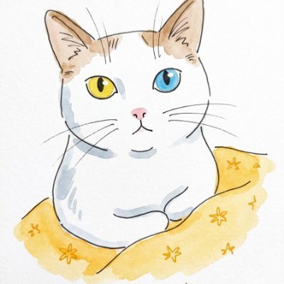 pensiotyan's profile picture