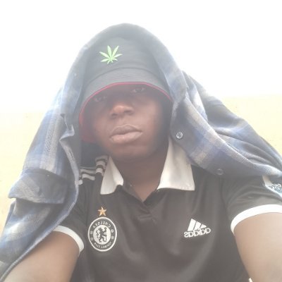 roland🐘's profile picture