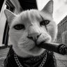 Close Vexi profil fotoğrafı