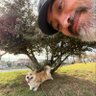 Reesko's profile picture