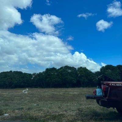 spiRiituaL's profile picture