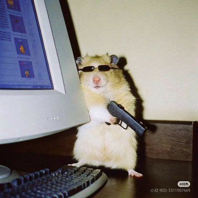 FuckuYesyou's profile picture