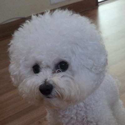 SIDvlrt's profile picture