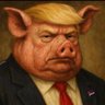 川粉爱国爱党粉红是臭傻逼's profile picture