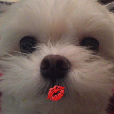 zizi's profile picture