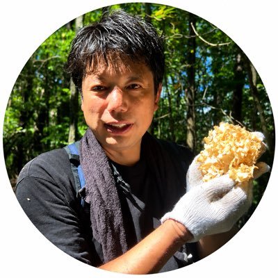 kisoyamabito's profile picture