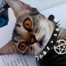 Profilbild von Lei 🎃
