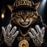 Фото профиля CRIXUS 💹🧲