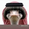 Profilbild von hassan Ali