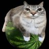DJChuy007's profile picture
