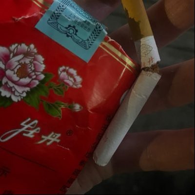boog4life_yue's profile picture