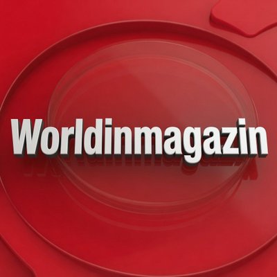 magazin's profile picture